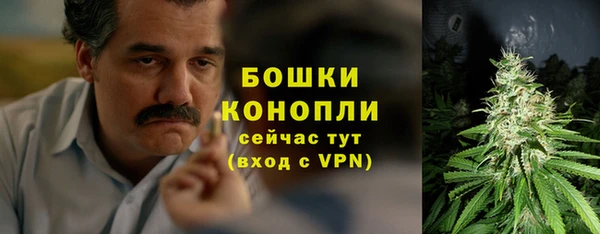 стафф Новый Уренгой