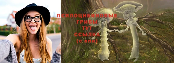 стафф Новый Уренгой