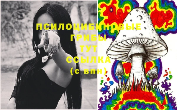 МДПВ Долгопрудный