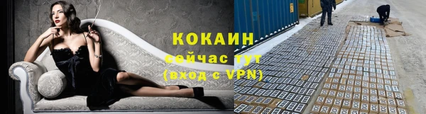 МДПВ Долгопрудный