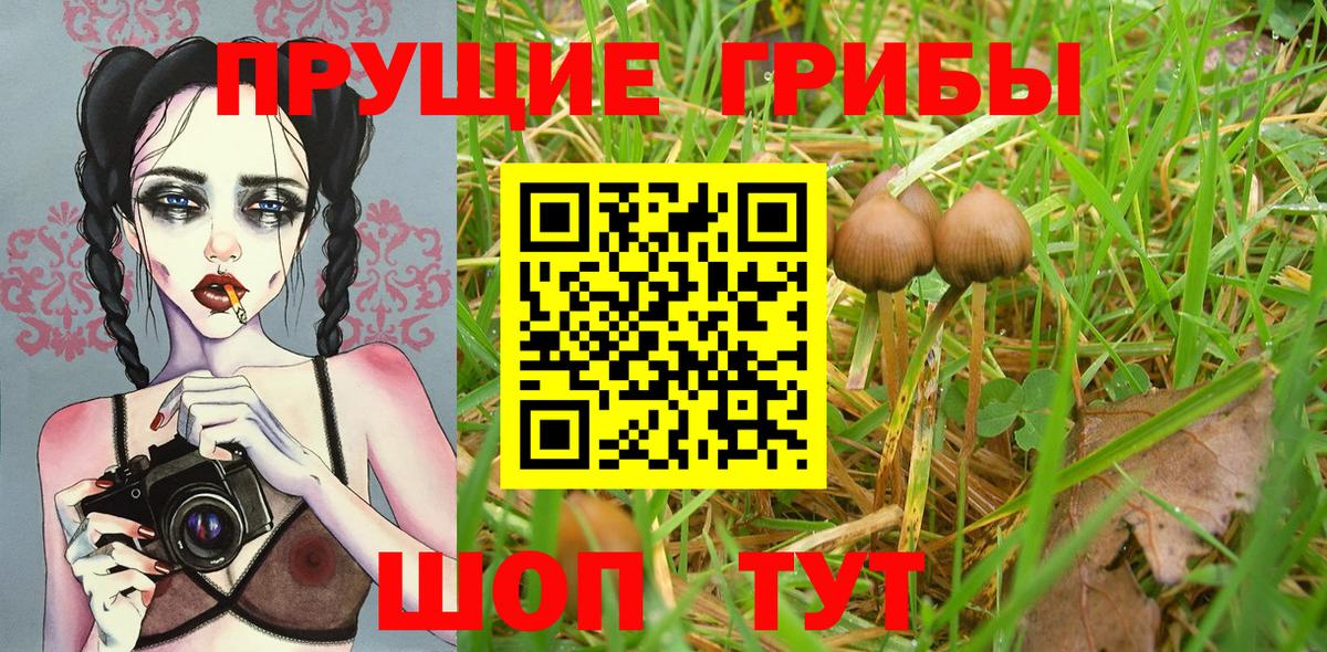 Псилоцибиновые грибы прущие грибы Азов