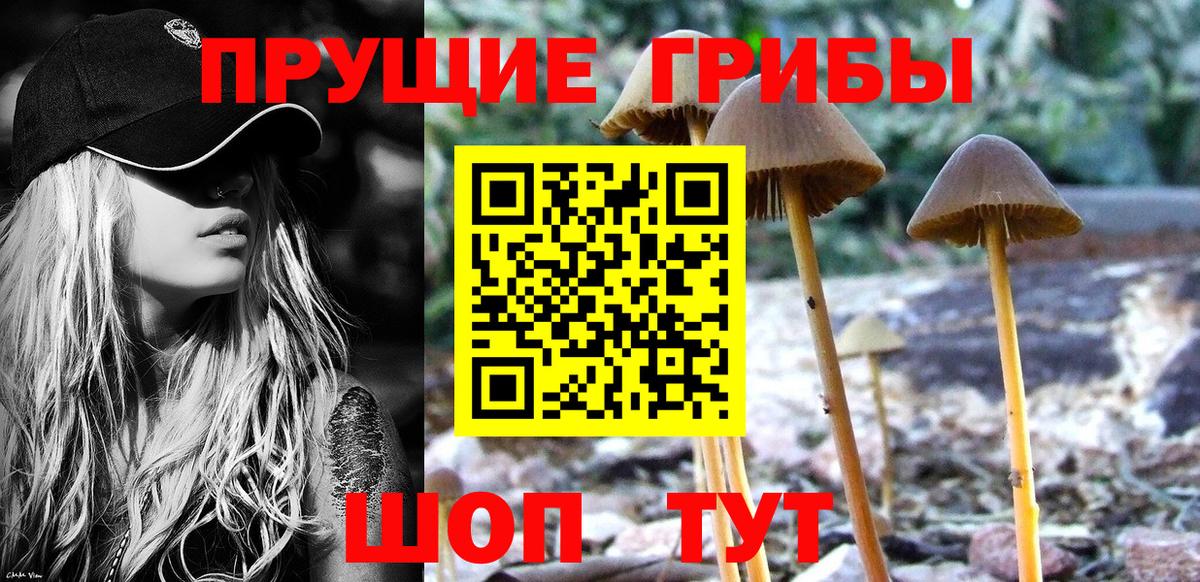 Азов  Псилоцибиновые грибы Magic Shrooms  Вход с VPN 